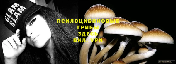 трава Алзамай