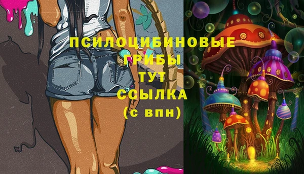 a pvp Абинск